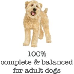 Purina Beneful Medleys Tuscan Style Canned Dog Food 17 Purina Beneful Medleys Tuscan Style Canned Dog Food -Snuggle Paws 100126 PT6. AC SS1800 V1700160883