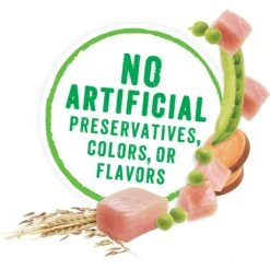 Purina Beneful Prepared Meals Roasted Turkey Medley With Wild Rice, Peas & Barley Wet Dog Food -Snuggle Paws 100183 PT3. AC SS1800 V1700158757