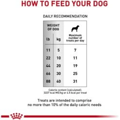 Royal Canin Veterinary Diet Adult Gastrointestinal Dog Treats 14 Royal Canin Veterinary Diet Adult Gastrointestinal Dog Treats -Snuggle Paws 100467 PT3. AC SS1800 V1701982730