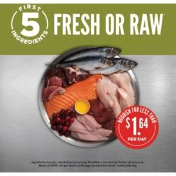 ORIJEN Senior Grain-Free Dry Dog Food -Snuggle Paws 101299 PT3. AC SS1800 V1685631110