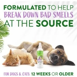 TropiClean Kiwi Blossom Deodorizing Dog & Cat Spray 13 TropiClean Kiwi Blossom Deodorizing Dog & Cat Spray -Snuggle Paws 101307 PT4. AC SS1800 V1684417091