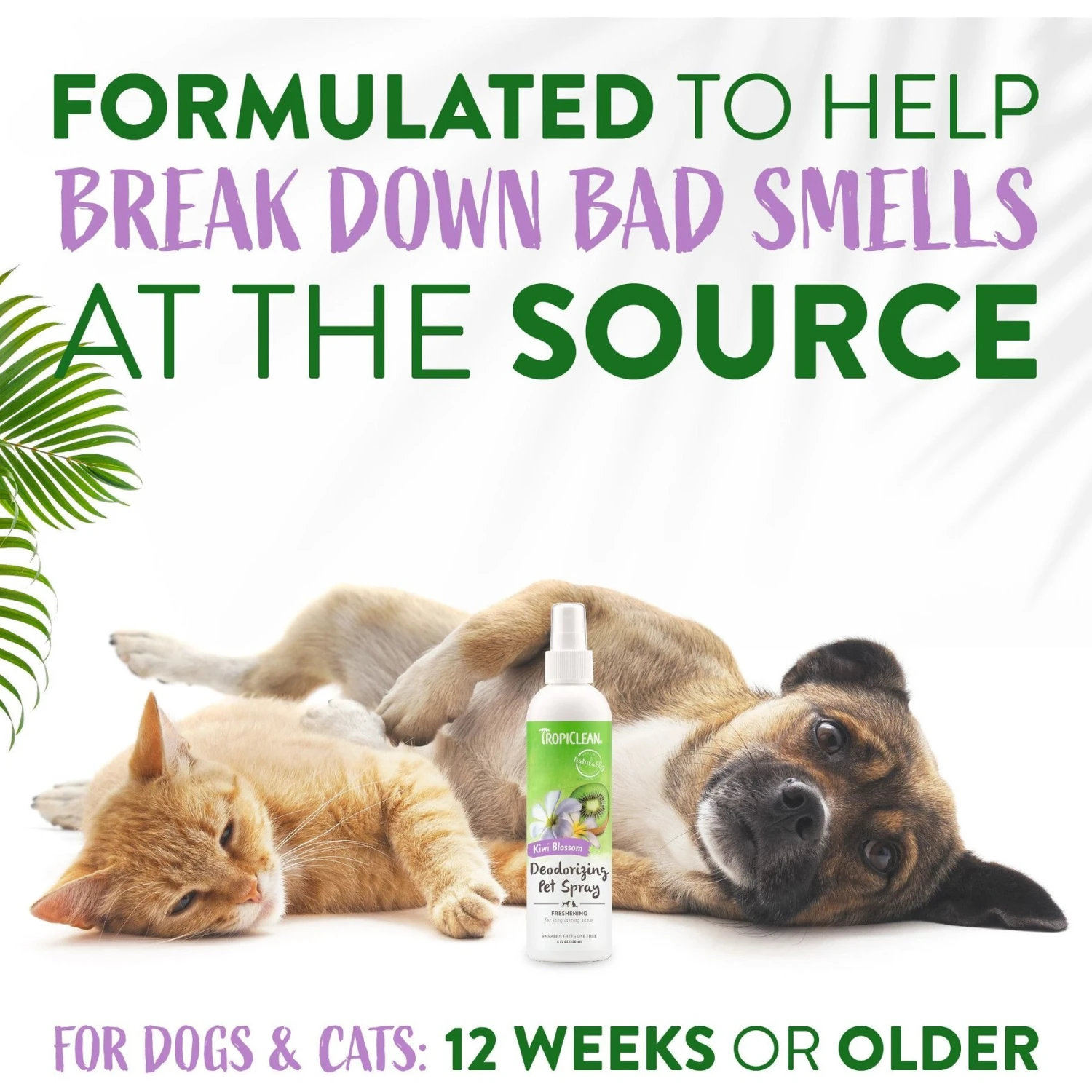 TropiClean Kiwi Blossom Deodorizing Dog & Cat Spray 6 TropiClean Kiwi Blossom Deodorizing Dog & Cat Spray - Image 4