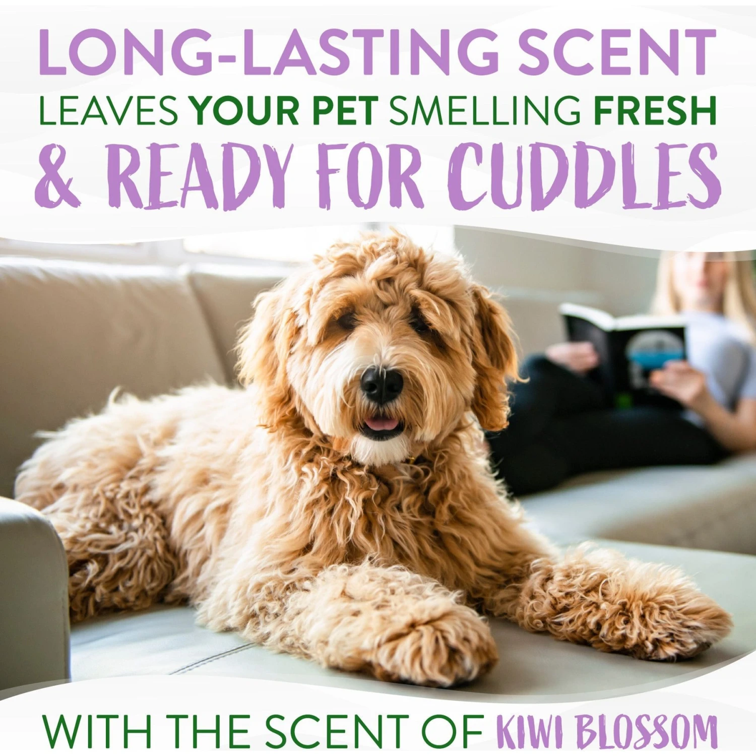 TropiClean Kiwi Blossom Deodorizing Dog & Cat Spray 7 TropiClean Kiwi Blossom Deodorizing Dog & Cat Spray - Image 5