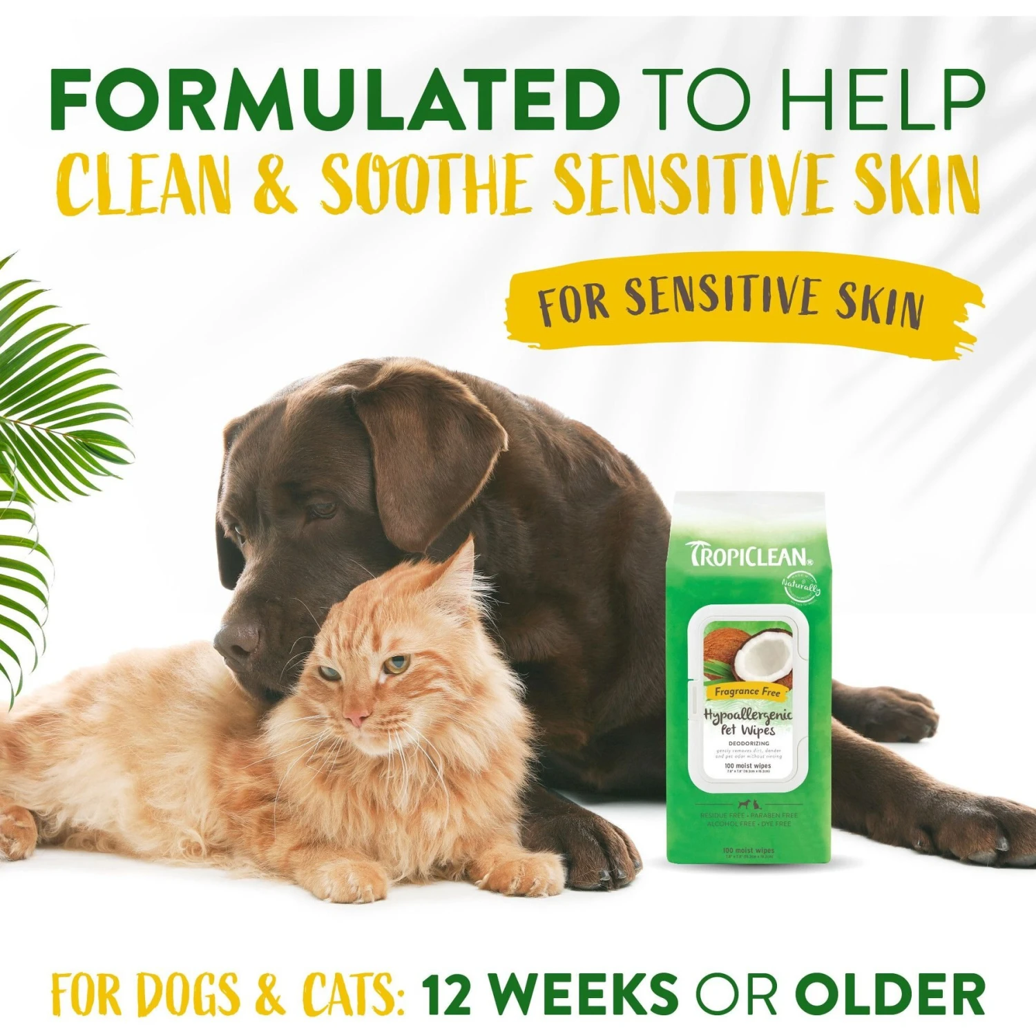 TropiClean Hypo Allergenic Deodorizing Dogs Wipes 7 TropiClean Hypo Allergenic Deodorizing Dogs Wipes - Image 5