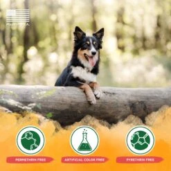 TropiClean Natural Flea & Tick Dog & Bedding Spray -Snuggle Paws 101340 PT7. AC SS1800 V1684453131