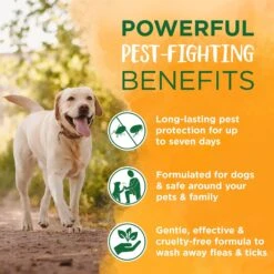 TropiClean Natural Flea & Tick Plus Soothing Dog Shampoo -Snuggle Paws 101345 PT6. AC SS1800 V1684453159