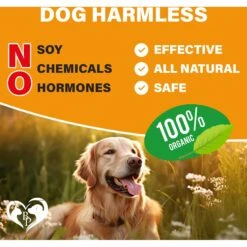 Beloved Pets Flea & Tick Prevention + Complex Multivitamin Chicken Flavored Soft Chew Flea & Tick Prevention Supplement For Dogs, 10-oz Jar 13 Beloved Pets Flea & Tick Prevention + Complex Multivitamin Chicken Flavored Soft Chew Flea & Tick Prevention Supplement For Dogs, 10-oz Jar -Snuggle Paws 1021518 PT5. AC SS1800 V1701453048