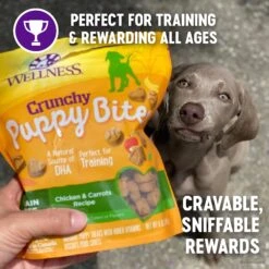 Wellness Crunchy Puppy Bites Chicken & Carrots Recipe Grain-Free Natural Dog Treats -Snuggle Paws 104848 PT2. AC SS1800 V1609283280