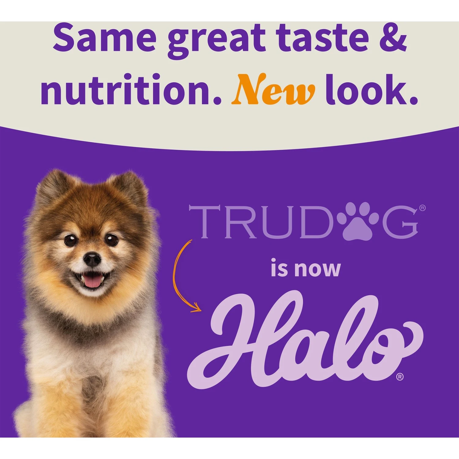 Halo Wild Caught Salmon Raw Freeze-Dried Dog Treats 9 Halo Wild Caught Salmon Raw Freeze-Dried Dog Treats - Image 7