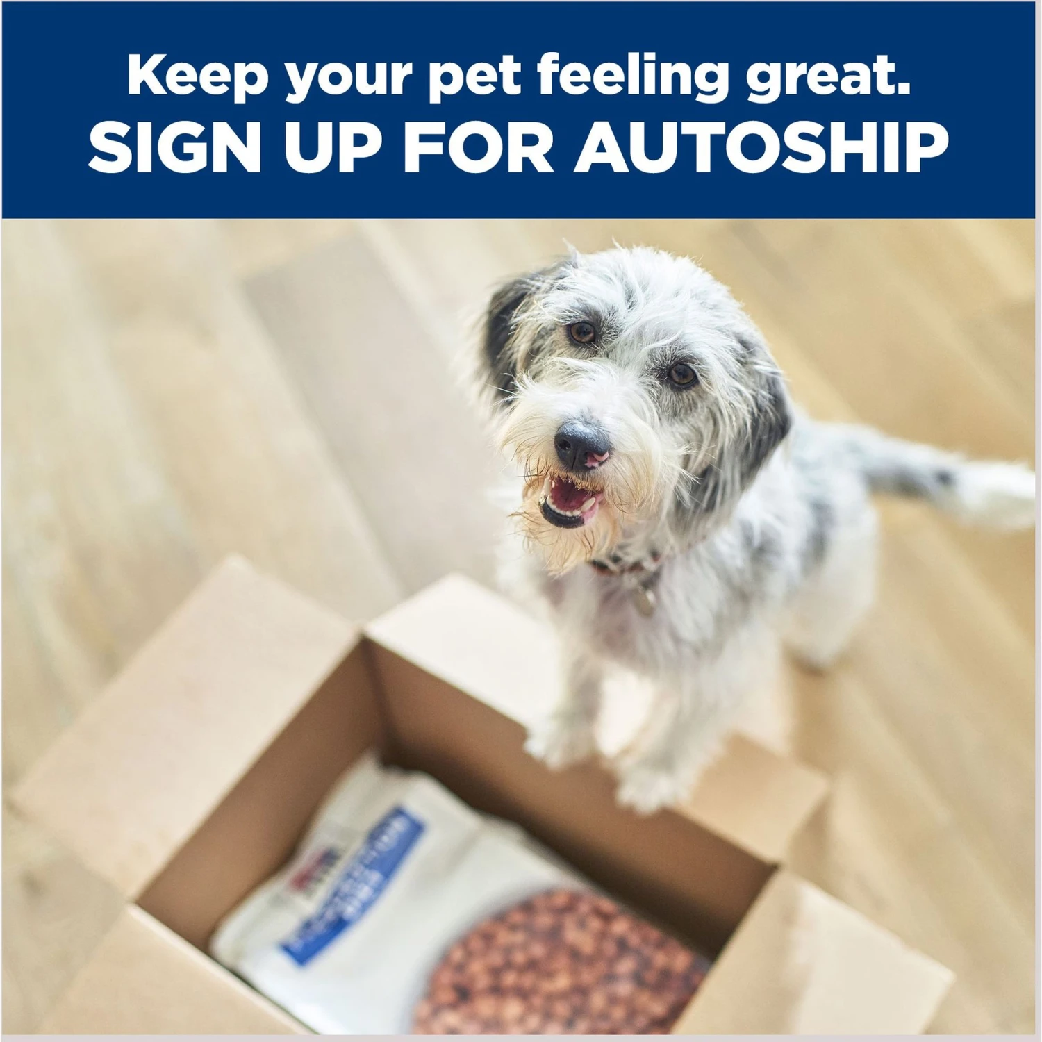 Hill's Prescription Diet I/d Digestive Care Low Fat Chicken Flavor Dry Dog Food 11 Hill's Prescription Diet I/d Digestive Care Low Fat Chicken Flavor Dry Dog Food - Image 9