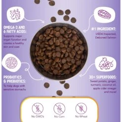 Health Extension Grain-Free Salmon Recipe Dry Dog Food -Snuggle Paws 105280 PT4. AC SS1800 V1678387508