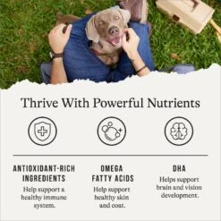 American Journey Lamb & Sweet Potato Recipe Grain-Free Dry Dog Food -Snuggle Paws 108419 PT4. AC SS1800 V1665438651