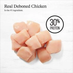 American Journey Puppy Chicken & Sweet Potato Recipe Grain-Free Dry Dog Food 14 American Journey Puppy Chicken & Sweet Potato Recipe Grain-Free Dry Dog Food -Snuggle Paws 108432 PT3. AC SS1800 V1665683926