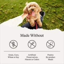 American Journey Puppy Chicken & Sweet Potato Recipe Grain-Free Dry Dog Food 17 American Journey Puppy Chicken & Sweet Potato Recipe Grain-Free Dry Dog Food -Snuggle Paws 108432 PT6. AC SS1800 V1680545530