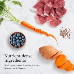 American Journey Puppy Lamb & Sweet Potato Recipe Grain-Free Dry Dog Food 16 American Journey Puppy Lamb & Sweet Potato Recipe Grain-Free Dry Dog Food -Snuggle Paws 108436 PT5. AC SS1800 V1680545177