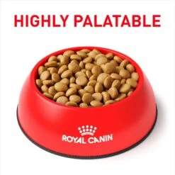 Royal Canin Veterinary Diet Adult Selected Protein PW Dry Dog Food -Snuggle Paws 109136 PT2. AC SS1800 V1694465535