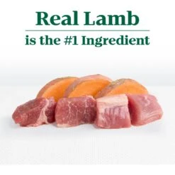 Nutro Limited Ingredient Diet Sensitive Support With Real Lamb & Sweet Potato Grain-Free Adult Dry Dog Food 18 Nutro Limited Ingredient Diet Sensitive Support With Real Lamb & Sweet Potato Grain-Free Adult Dry Dog Food -Snuggle Paws 109395 PT7. AC SS1800 V1702666831