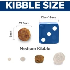 Hill's Science Diet Adult 7+ Senior Vitality Chicken Recipe Dry Dog Food 15 Hill's Science Diet Adult 7+ Senior Vitality Chicken Recipe Dry Dog Food -Snuggle Paws 109487 PT6. AC SS1800 V1597964459