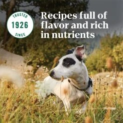 Nutro Natural Choice Small Breed Senior Chicken & Brown Rice Recipe Dry Dog Food 18 Nutro Natural Choice Small Breed Senior Chicken & Brown Rice Recipe Dry Dog Food -Snuggle Paws 109583 PT7. AC SS1800 V1691417418