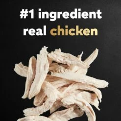 Cesar Rotisserie Chicken Flavor & Spring Vegetables Garnish Small Breed Dry Dog Food 15 Cesar Rotisserie Chicken Flavor & Spring Vegetables Garnish Small Breed Dry Dog Food -Snuggle Paws 110528 PT4. AC SS1800 V1695674509