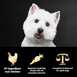 Cesar Rotisserie Chicken Flavor & Spring Vegetables Garnish Small Breed Dry Dog Food 19 Cesar Rotisserie Chicken Flavor & Spring Vegetables Garnish Small Breed Dry Dog Food -Snuggle Paws 110528 PT8. AC SS1800 V1695674515