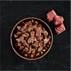 Cesar Filets In Gravy Beef Flavors Variety Pack Small Breed Adult Wet Dog Food -Snuggle Paws 110539 PT3. AC SS1800 V1695674693