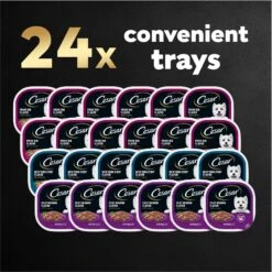 Cesar Filets In Gravy Beef Flavors Variety Pack Small Breed Adult Wet Dog Food -Snuggle Paws 110539 PT7. AC SS1800 V1695746024