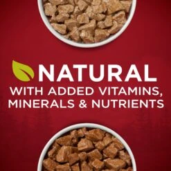 Purina ONE SmartBlend True Instinct Tender Cuts In Gravy Variety Pack Canned Dog Food -Snuggle Paws 111092 PT2. AC SS1800 V1671735752