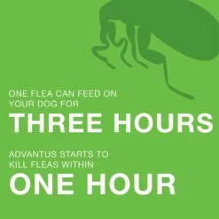 Advantus Flea Oral Treatment For Dogs, 23-110 Lbs -Snuggle Paws 112350 PT5. AC SS1800 V1561554160