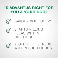 Advantus Flea Oral Treatment For Dogs, 23-110 Lbs -Snuggle Paws 112350 PT6. AC SS1800 V1561554163