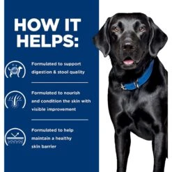 Hill's Prescription Diet D/d Skin/Food Sensitivities Potato & Salmon Recipe Dry Dog Food 15 Hill's Prescription Diet D/d Skin/Food Sensitivities Potato & Salmon Recipe Dry Dog Food -Snuggle Paws 113450 PT4. AC SS1800 V1646168536