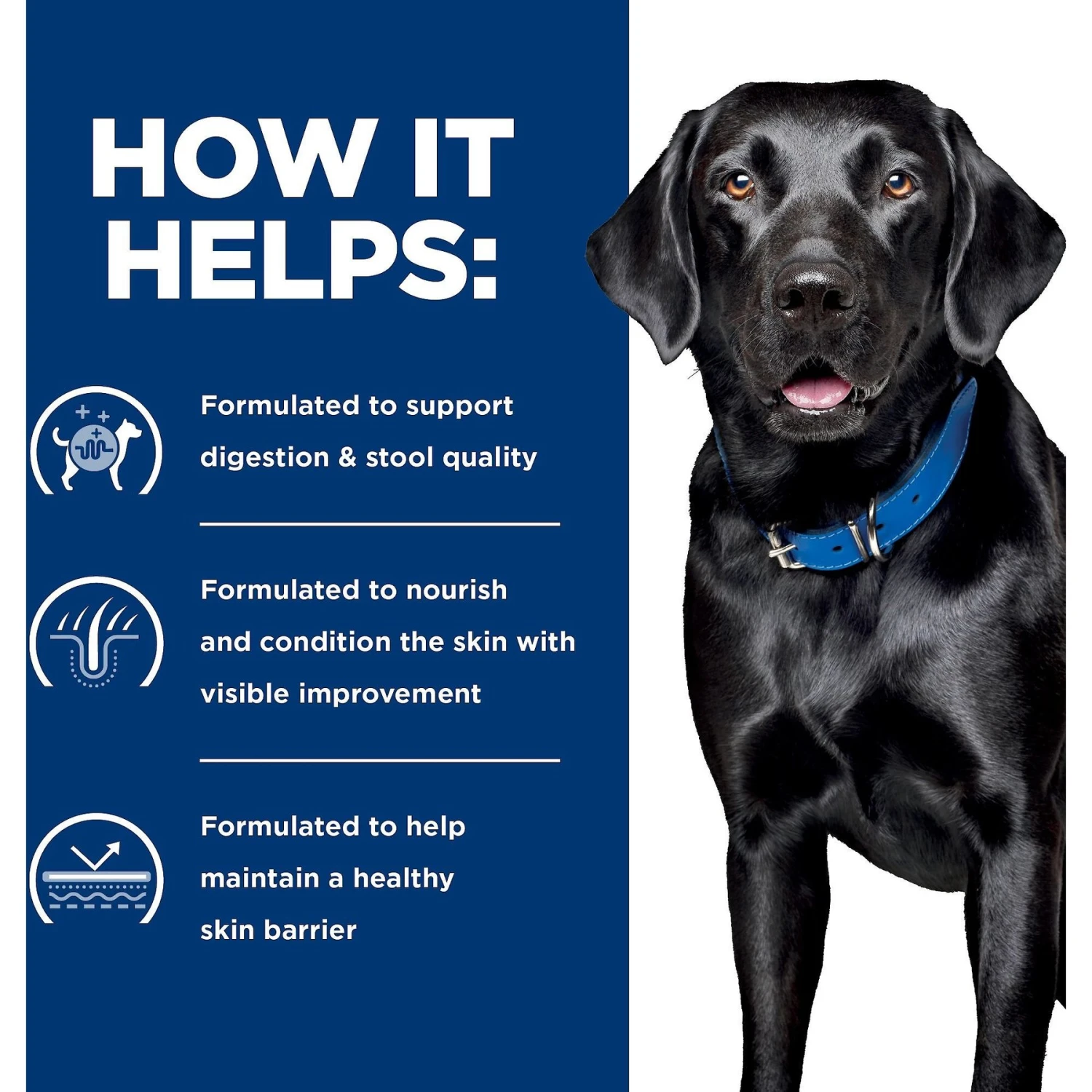 Hill's Prescription Diet D/d Skin/Food Sensitivities Potato & Salmon Recipe Dry Dog Food 7 Hill's Prescription Diet D/d Skin/Food Sensitivities Potato & Salmon Recipe Dry Dog Food - Image 5