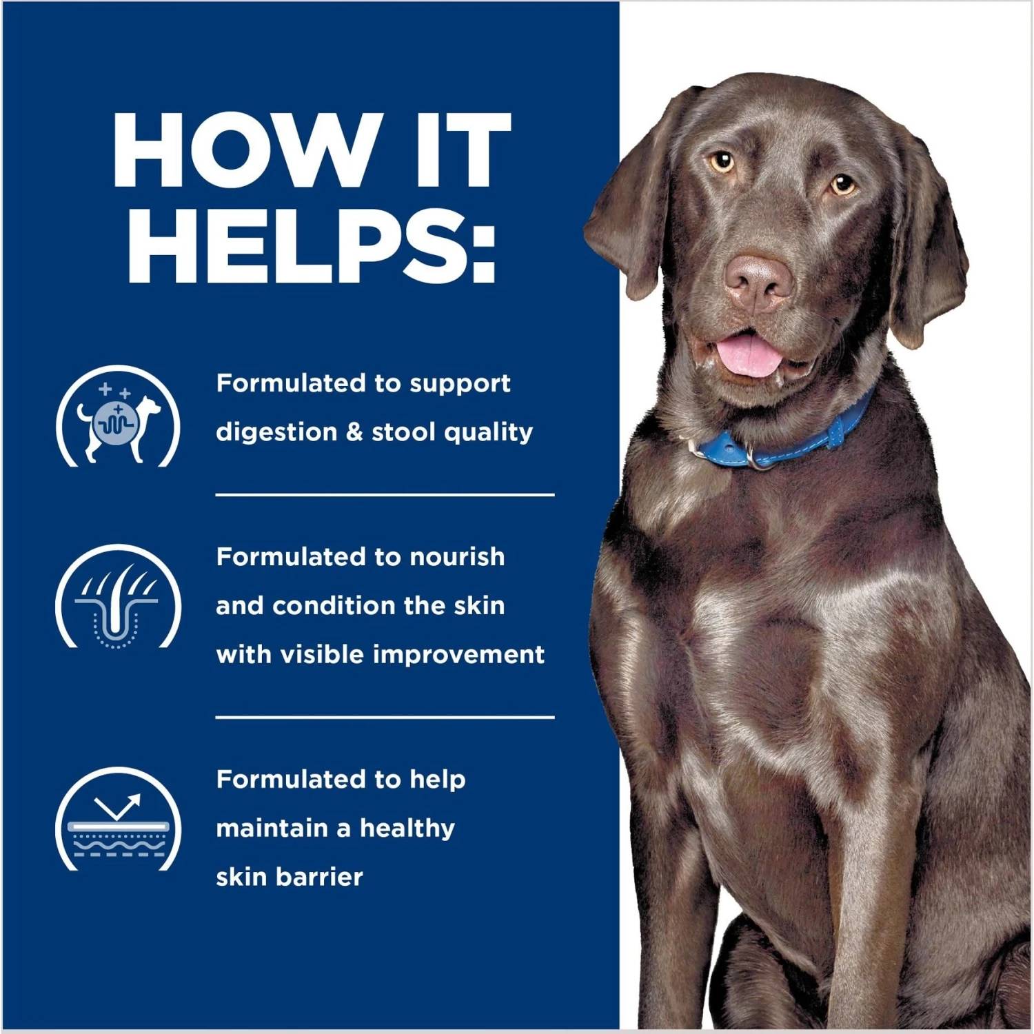 Hill's Prescription Diet D/d Skin/Food Sensitivities Potato & Venison Dry Dog Food 7 Hill's Prescription Diet D/d Skin/Food Sensitivities Potato & Venison Dry Dog Food - Image 5