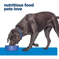 Hill's Prescription Diet D/d Skin/Food Sensitivities Potato & Venison Dry Dog Food 17 Hill's Prescription Diet D/d Skin/Food Sensitivities Potato & Venison Dry Dog Food -Snuggle Paws 113451 PT6. AC SS1800 V1668616134