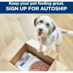 Hill's Prescription Diet D/d Skin/Food Sensitivities Potato & Venison Dry Dog Food 19 Hill's Prescription Diet D/d Skin/Food Sensitivities Potato & Venison Dry Dog Food -Snuggle Paws 113451 PT8. AC SS1800 V1668616083