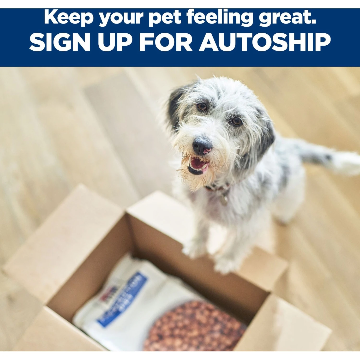 Hill's Prescription Diet D/d Skin/Food Sensitivities Potato & Venison Dry Dog Food 11 Hill's Prescription Diet D/d Skin/Food Sensitivities Potato & Venison Dry Dog Food - Image 9