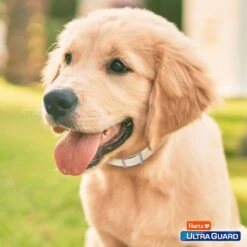 Hartz UltraGuard Plus Flea & Tick Collar For Dogs, Medium & Large Breeds -Snuggle Paws 113805 PT7. AC SS1800 V1648624619
