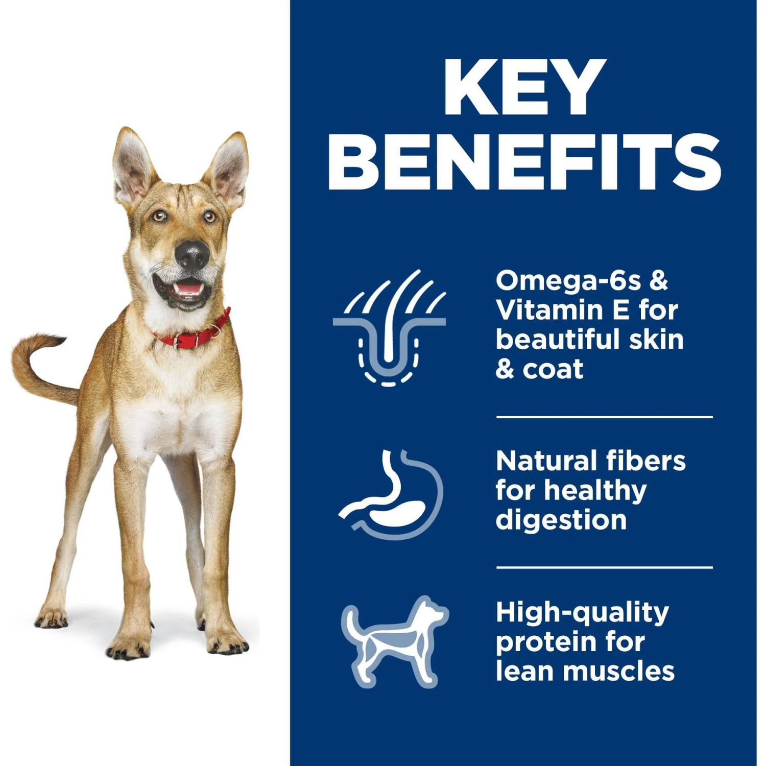 Hill's Science Diet Adult Chicken & Barley Recipe Dry Dog Food 8 Hill's Science Diet Adult Chicken & Barley Recipe Dry Dog Food - Image 6