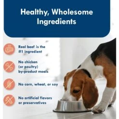 Blue Buffalo Divine Delights Filet Mignon Flavor Pate Dog Food Trays -Snuggle Paws 114264 PT5. AC SS1800 V1642647141