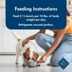 Blue Buffalo Divine Delights Filet Mignon Flavor Pate Dog Food Trays -Snuggle Paws 114264 PT7. AC SS1800 V1642639957