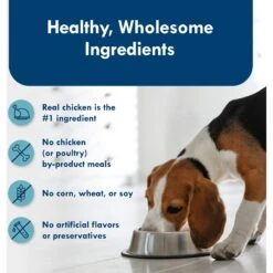 Blue Buffalo Divine Delights Grilled Chicken Flavor Pate Dog Food Trays -Snuggle Paws 114266 PT5. AC SS1800 V1642639027