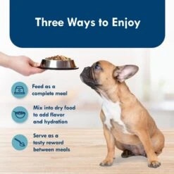 Blue Buffalo Divine Delights Grilled Chicken Flavor Pate Dog Food Trays -Snuggle Paws 114266 PT6. AC SS1800 V1642645032