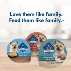 Blue Buffalo Divine Delights Grilled Chicken Flavor Pate Dog Food Trays -Snuggle Paws 114266 PT8. AC SS1800 V1642635717