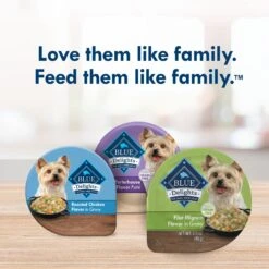 Blue Buffalo Divine Delights Filet Mignon Flavor Hearty Gravy Dog Food Trays -Snuggle Paws 114284 PT8. AC SS1800 V1642647385