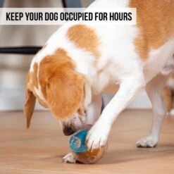 Pet Zone IQ Treat Dispenser Ball Dog Toy -Snuggle Paws 115632 Pt3. AC SS1800 V1583771890