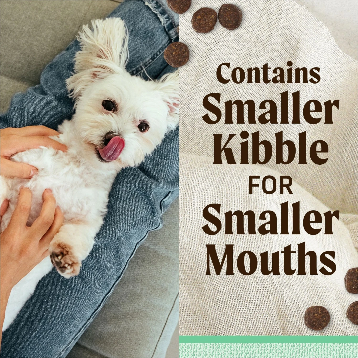 Merrick Lil' Plates Grain-Free Small Breed Dry Dog Food Senior Real Chicken + Sweet Potato Recipe 6 Merrick Lil' Plates Grain-Free Small Breed Dry Dog Food Senior Real Chicken + Sweet Potato Recipe - Image 4