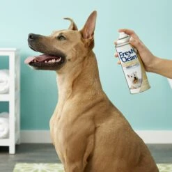 PetAg Fresh 'N Clean Dog Tropical Scent Cologne Spray -Snuggle Paws 118751 PT3. AC SS1800 V1543876715