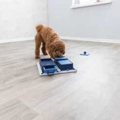 TRIXIE Activity Poker Box Activity Strategy Game Dog Toy, Level 2 -Snuggle Paws 118931 PT2. AC SS1800 V1686328989