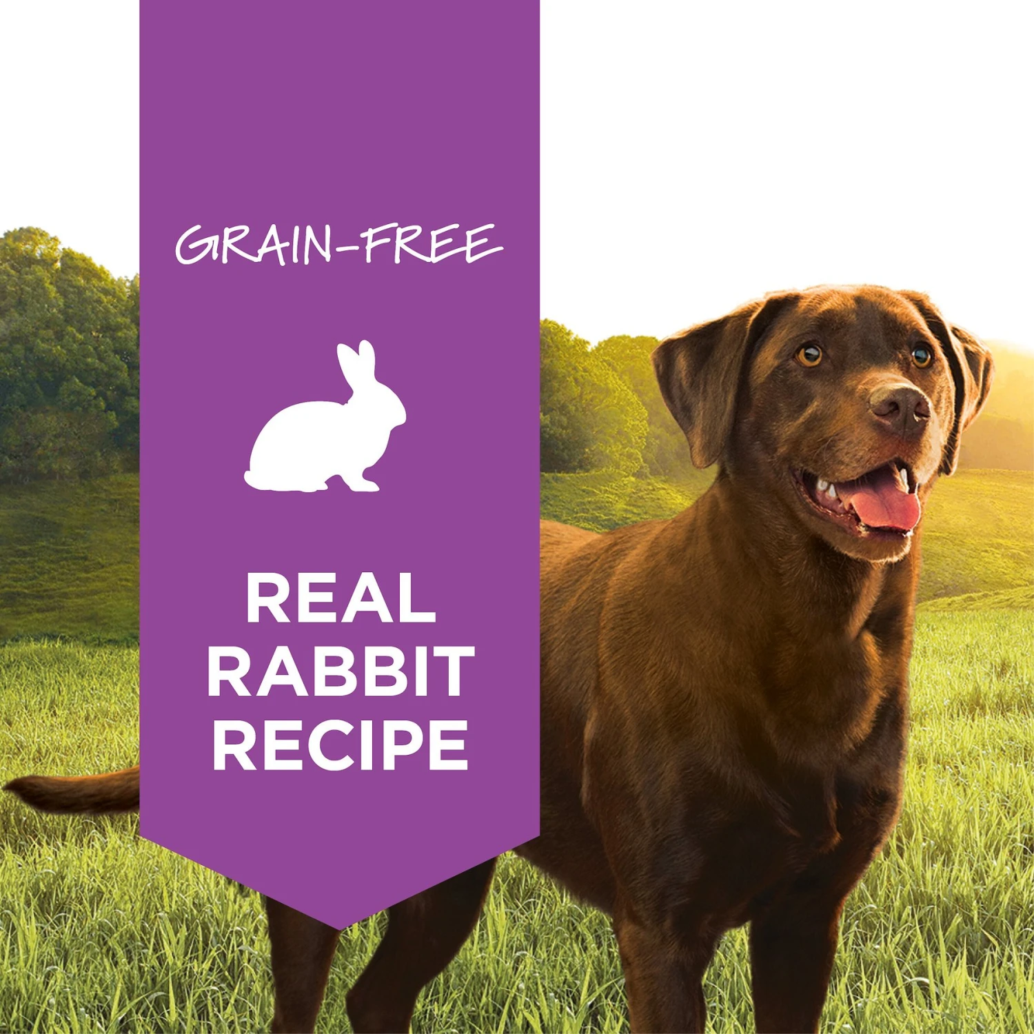 Instinct Original Grain-Free Real Rabbit Recipe Natural Wet Canned Dog Food 4 Instinct Original Grain-Free Real Rabbit Recipe Natural Wet Canned Dog Food - Image 2