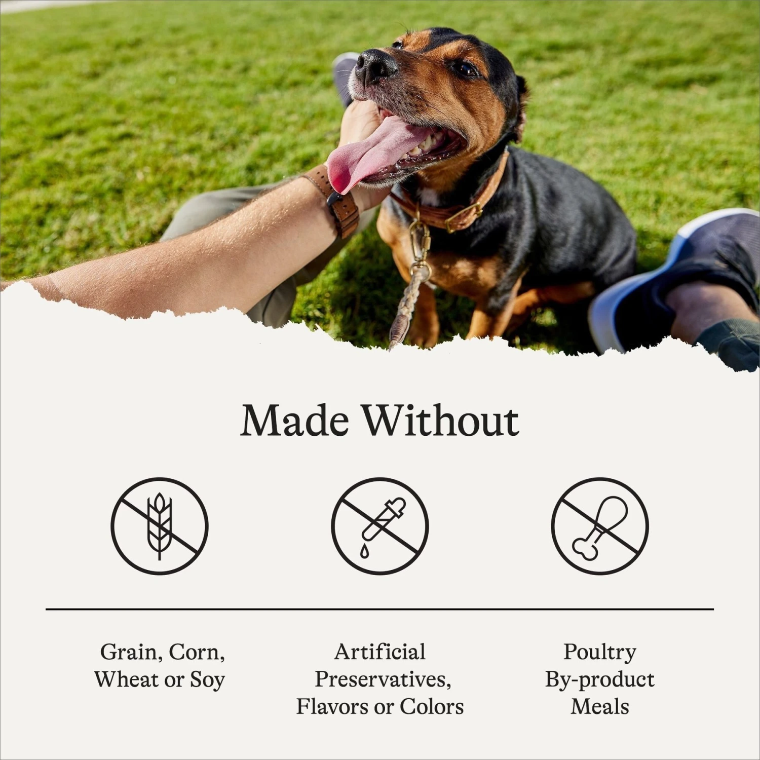 American Journey Limited Ingredient Turkey & Sweet Potato Recipe Grain-Free Dry Dog Food 9 American Journey Limited Ingredient Turkey & Sweet Potato Recipe Grain-Free Dry Dog Food - Image 7